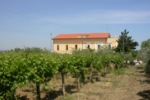 Agriturismo Girasole Agriturismo Girasole