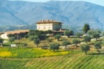 Agriturismo Contessa